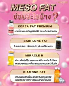 𝐌𝐞𝐬𝐨 𝐅𝐚𝐭 สลายไขมัน