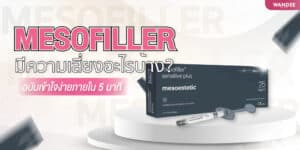 Mesofiller