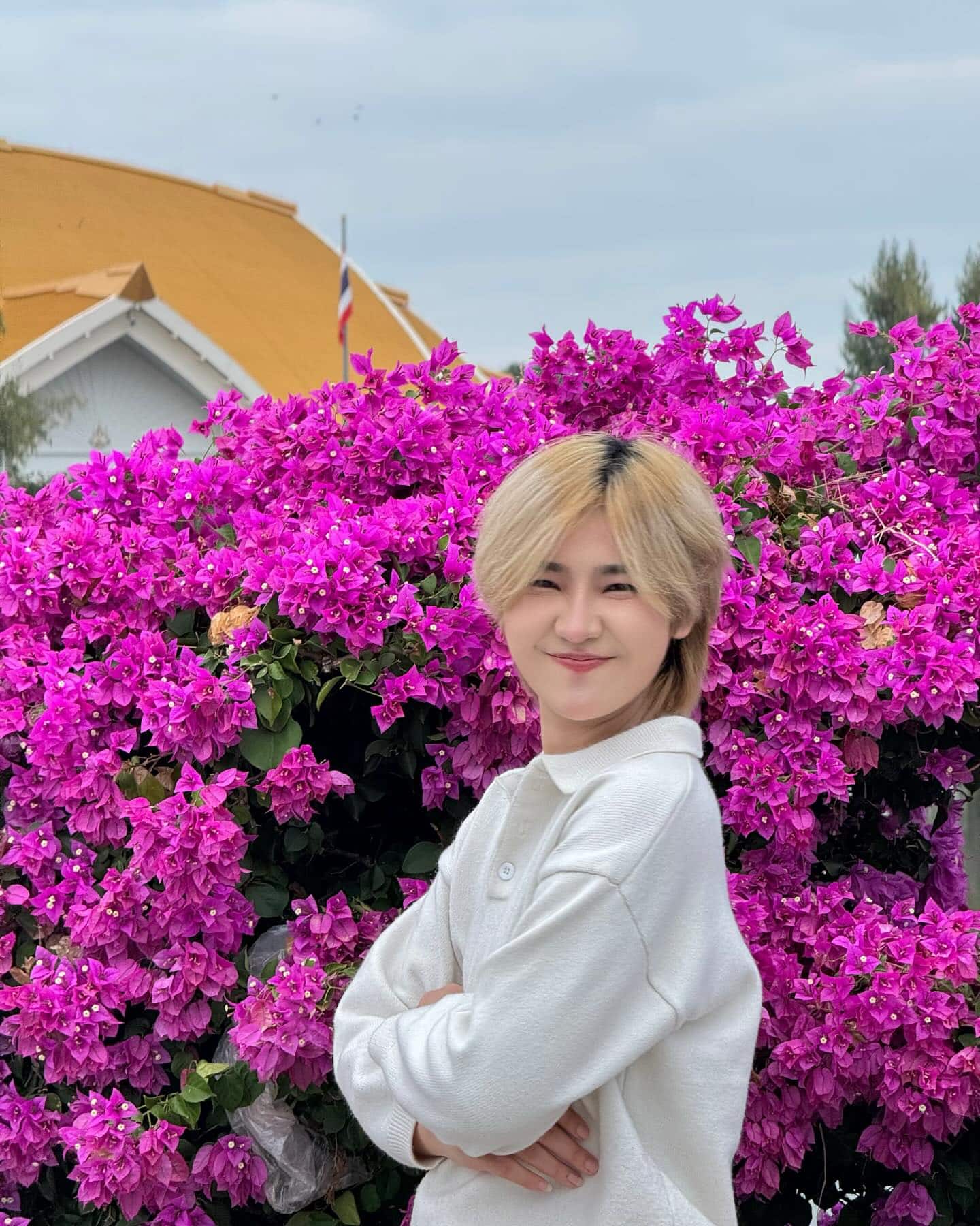 อัลตร้าฟอเมอร์ มะปราง