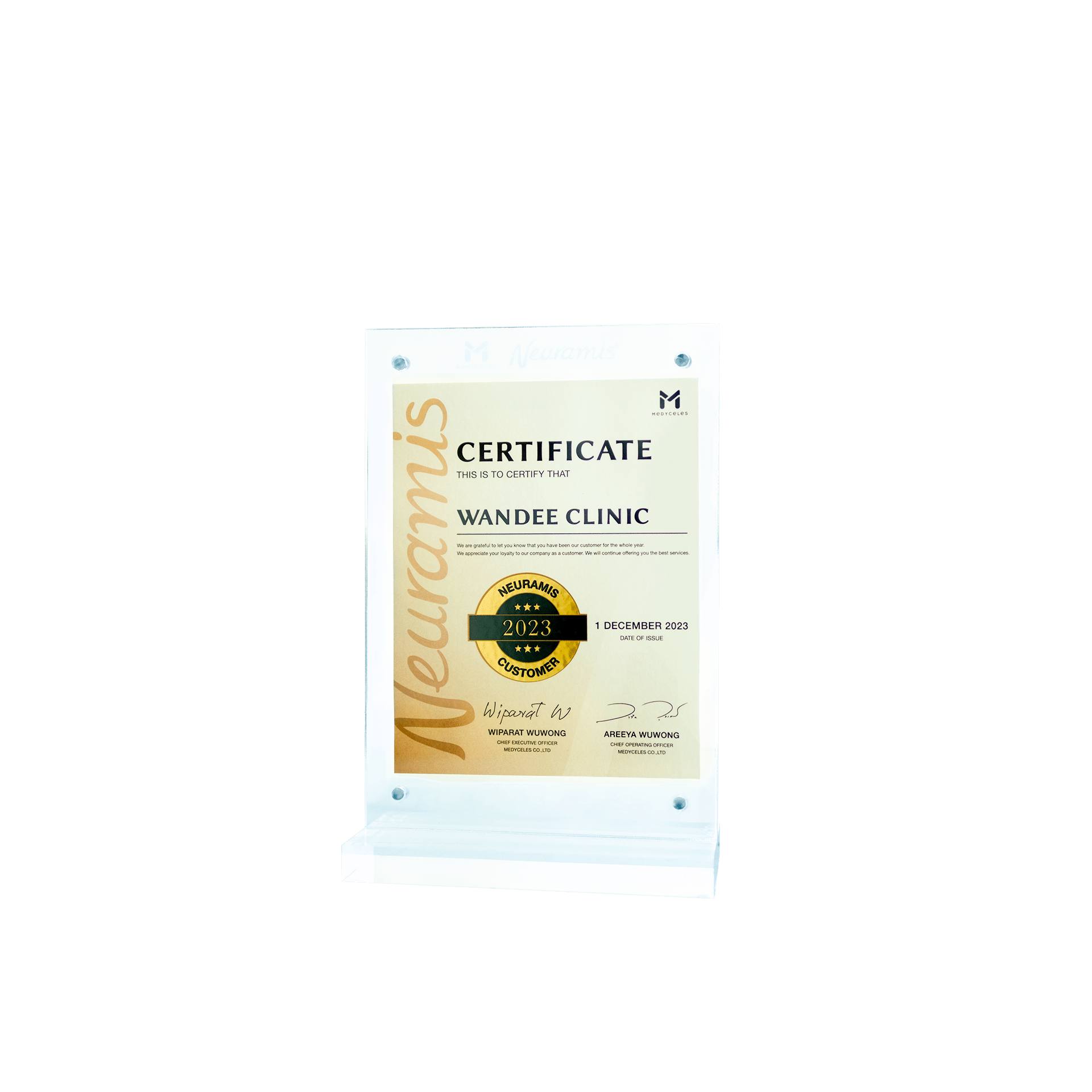 neyramis certificate Wandee Clinic 2023