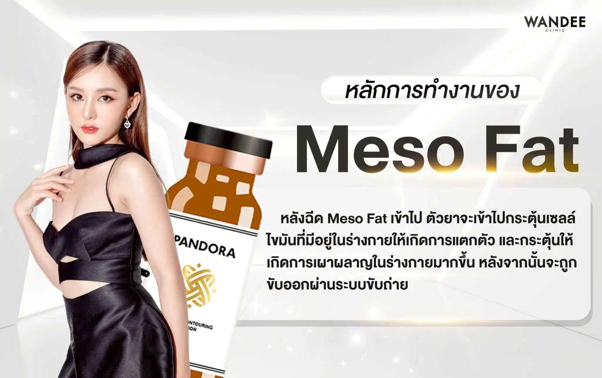 หลักการทำงานของ Meso Fat