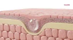 ภาพสื่อความสัมพันธ์ระหว่างเจลฟิลเลอร์และโครงข่ายคอลลาเจนใต้ผิวในมุมตัดชั้นผิว