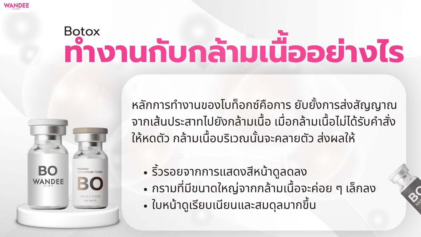 โบท็อกซ์คืออะไร ทำงานกับกล้ามเนื้ออย่างไร