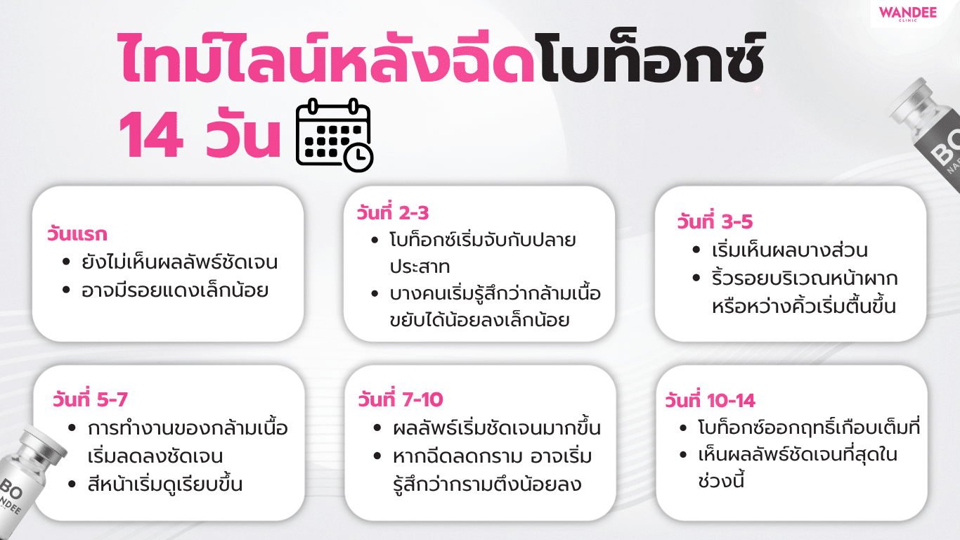 ไทม์ไลน์หลังฉีดโบท็อกซ์ วัน 1-14 การเปลี่ยนแปลงของกล้ามเนื้อในแต่ละช่วง