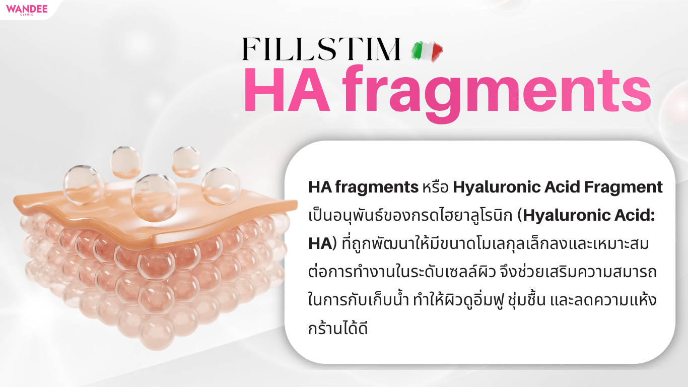 ส่วนประกอบสำคัญใน Fillstim ผสานพลัง HA fragments และกรดอะมิโน