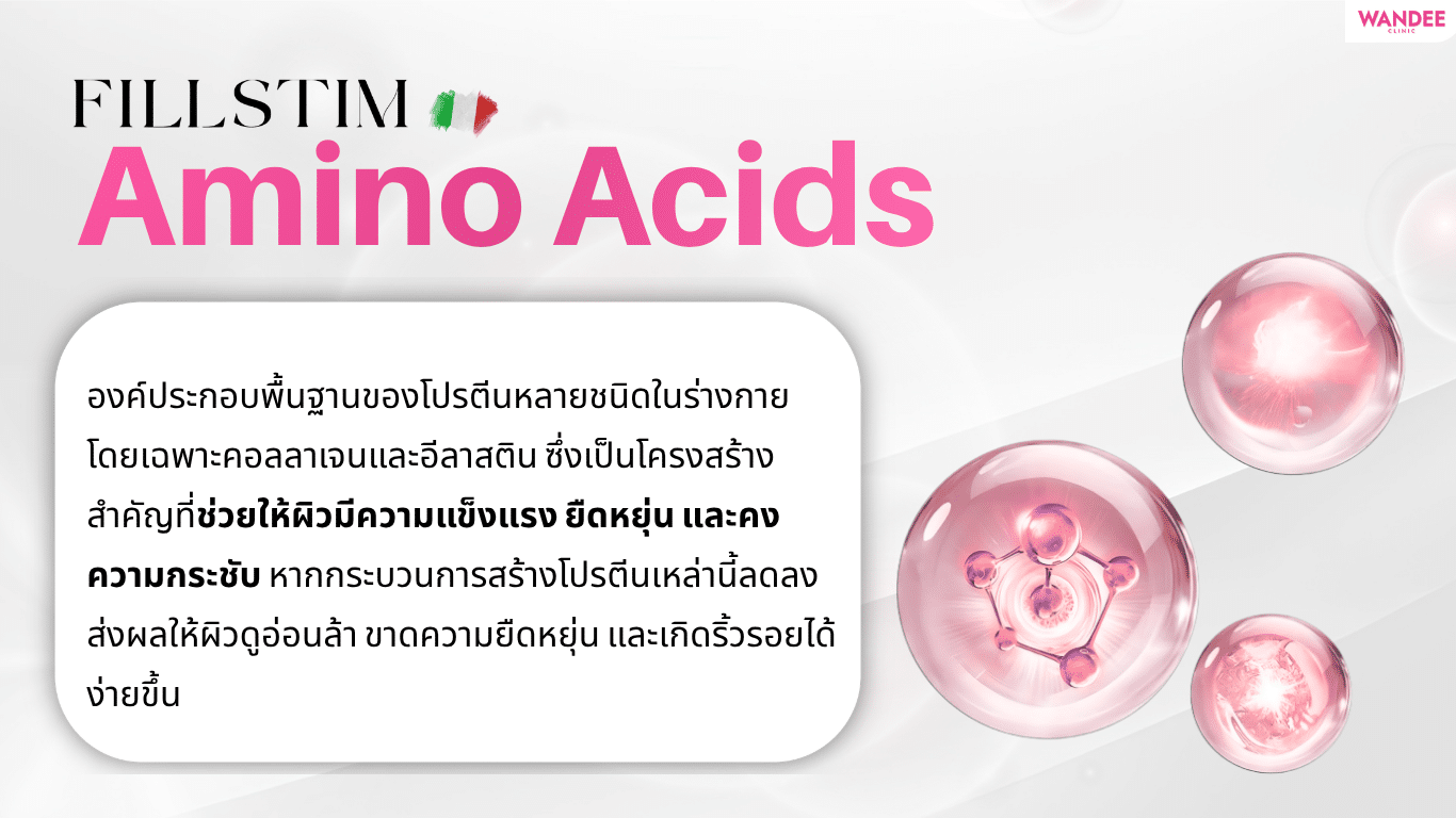 ส่วนประกอบสำคัญใน Fillstim ผสานพลัง HA fragments และกรดอะมิโน
