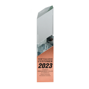TOP VALUEDCUSTOMER 2023